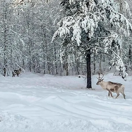 Vaaranpaeae By Interhome Hébergement de vacances *