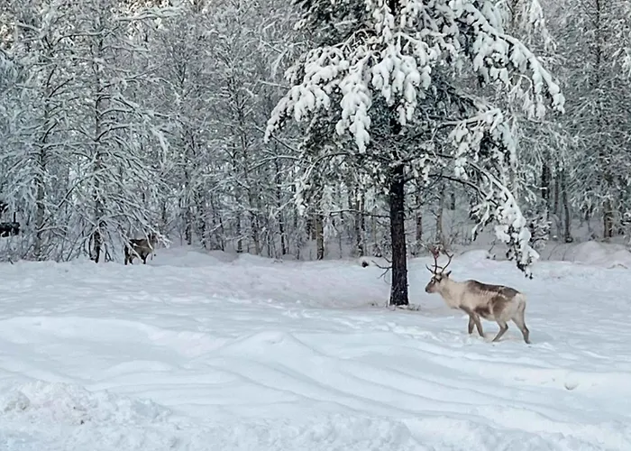Vaaranpaeae By Interhome Casa vacanze *